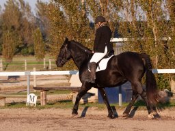 IMG_7693_web